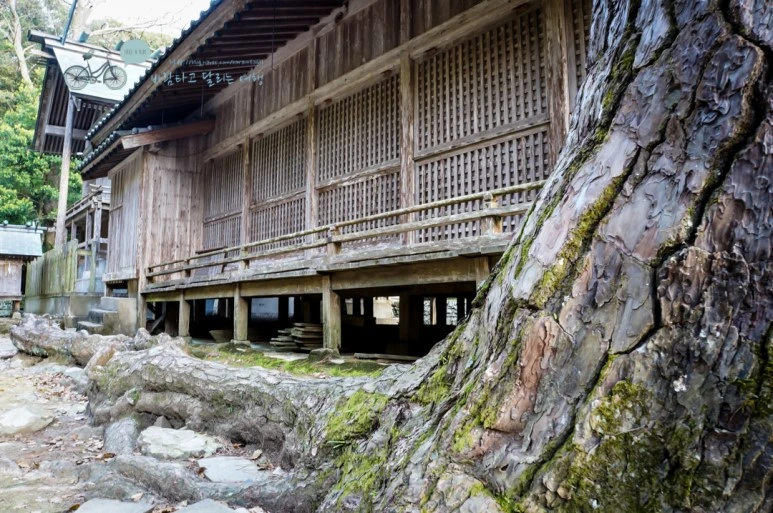 DSC07984_wide1080mark.jpg?type=w773