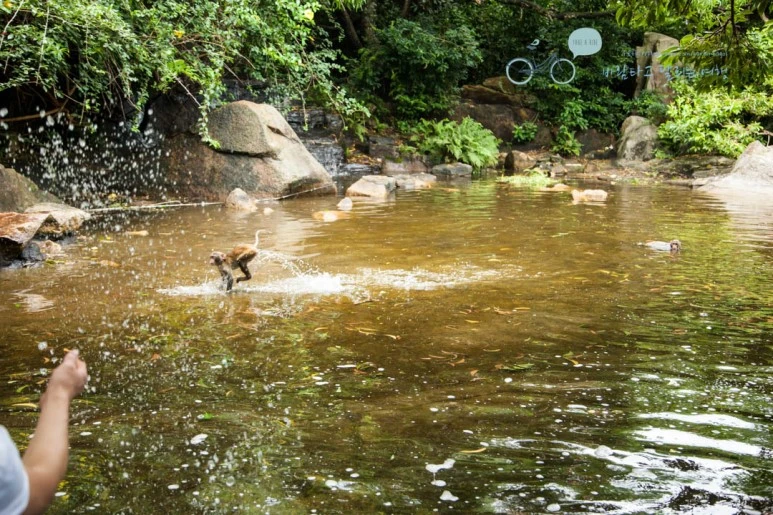 IMG_1415_wide1080%EB%B0%94%EB%9E%8Cmark.jpg?type=w773