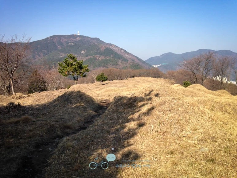 IMG_1192-_Wide1080mark%EB%B0%94%EB%9E%8C.jpg?type=w773