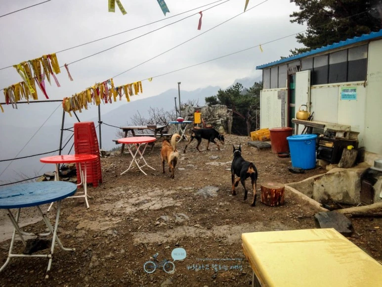 IMG_1894-_Wide1080mark.jpg?type=w773