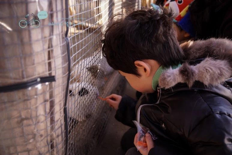 DSC00017_4.jpg?type=w773