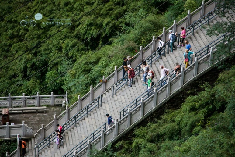 IMG_0506_Wide1080mark%EB%B0%94%EB%9E%8C.jpg?type=w773