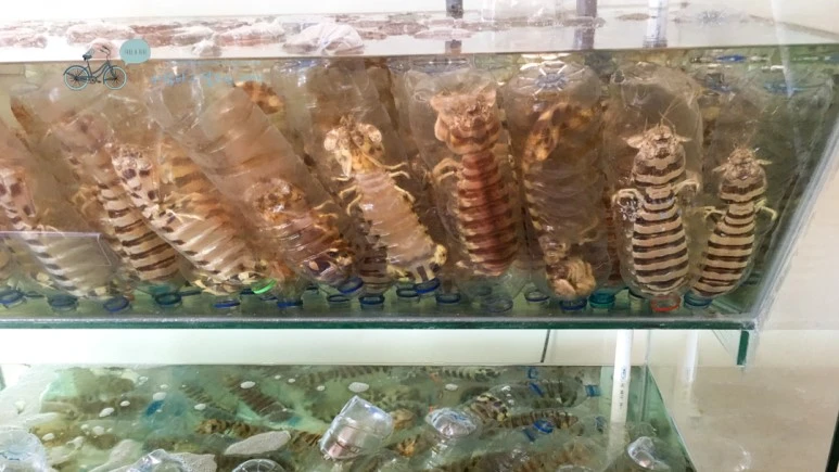 IMG_0947_wide1080mark%EB%B0%94%EB%9E%8C%ED%83%80%EA%B3%A0.jpg?type=w773