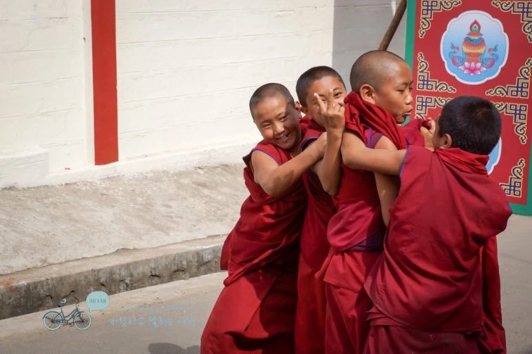 DSC00327.jpg?type=w773