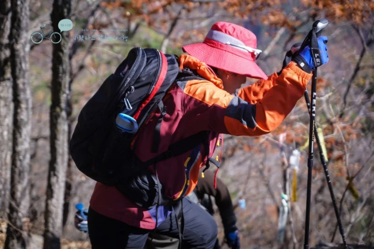 DSC05890_wide1080mark.jpg?type=w773