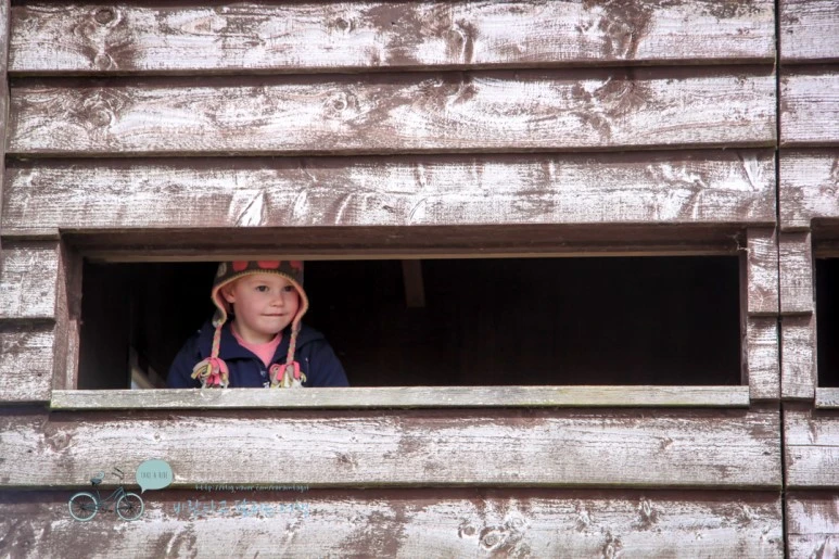 IMG_3310.jpg?type=w773