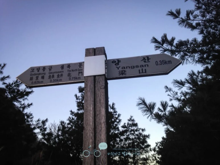 IMG_1381-_Wide1080mark%EB%B0%94%EB%9E%8C.jpg?type=w773