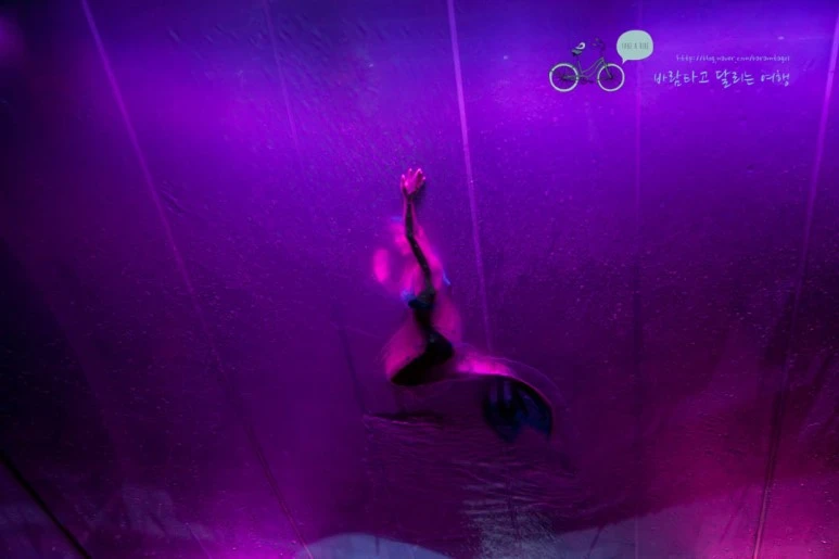 IMG_0649_wide1080%EB%B0%94%EB%9E%8Cmark.jpg?type=w773