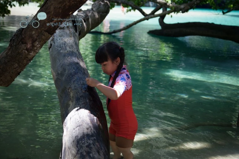 IMG_2078_Wide1080mark%EB%B0%94%EB%9E%8C%ED%83%80%EA%B3%A0.jpg?type=w773