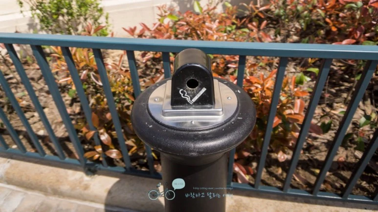 DSC04909_wide1080mark%EB%B0%94%EB%9E%8C.jpg?type=w773