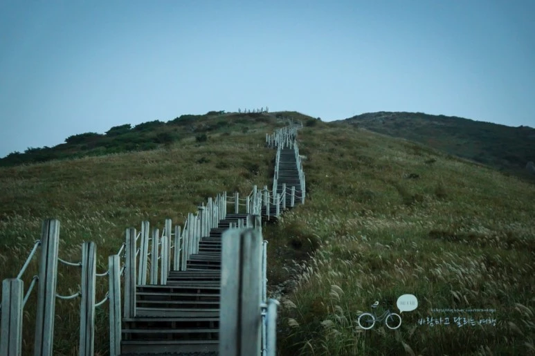 DSC04440_wide1080mark.jpg?type=w773