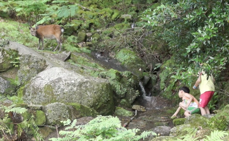 %EC%8A%A4%ED%81%AC%EB%A6%B0%EC%83%B7_2017-02-03_11.16.27.png?type=w773