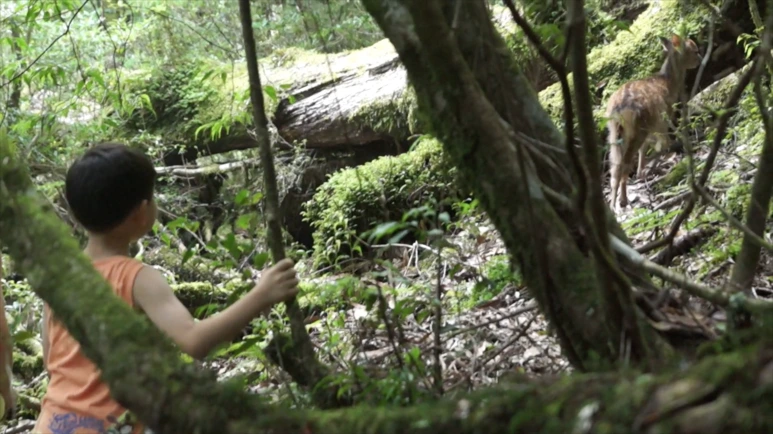 %EC%8A%A4%ED%81%AC%EB%A6%B0%EC%83%B7_2017-02-03_11.15.02.png?type=w773