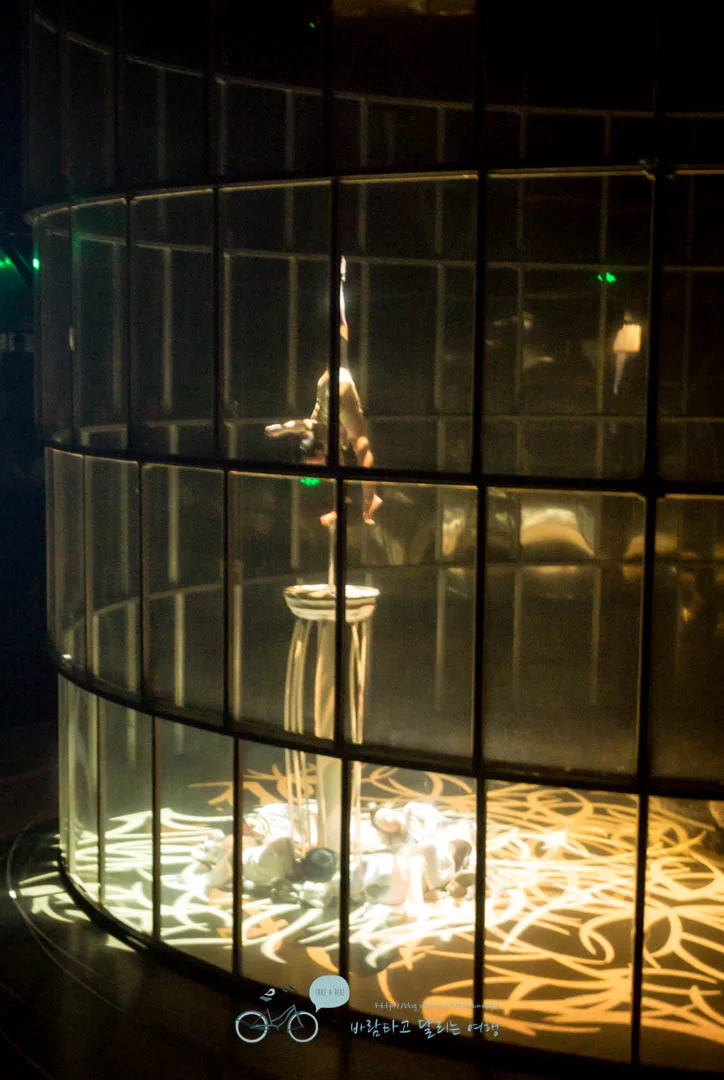 DSC05321_wide1080mark%EB%B0%94%EB%9E%8C.jpg?type=w773