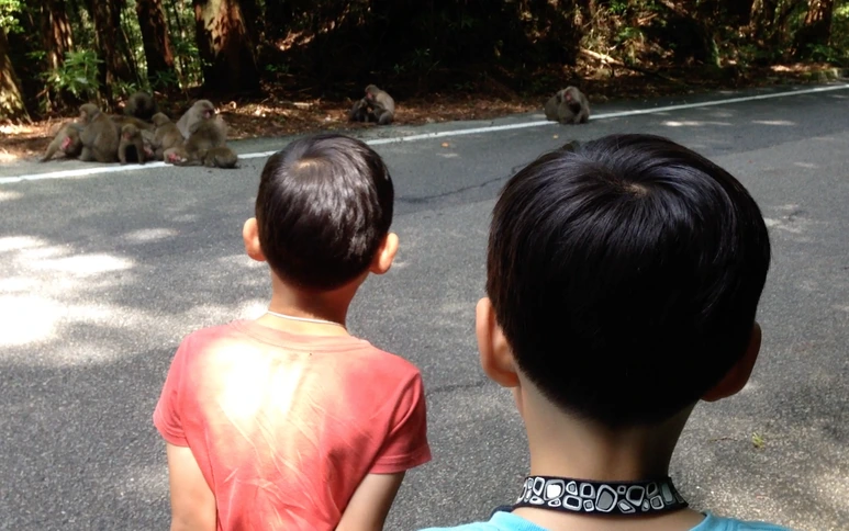 %EC%95%BC%EC%BF%A0%EC%8A%A4%EA%B8%B0%EB%9E%9C%EB%93%9C_%EC%82%AC%EB%A3%A8.png?type=w773