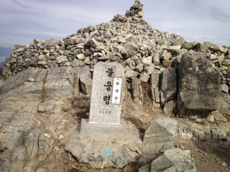 IMG_1294-_Wide1080mark%EB%B0%94%EB%9E%8C.jpg?type=w773