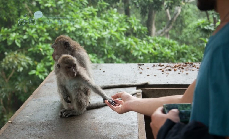 IMG_0215_Wide1080mark%EB%B0%94%EB%9E%8C%ED%83%80%EA%B3%A0-3.jpg?type=w773