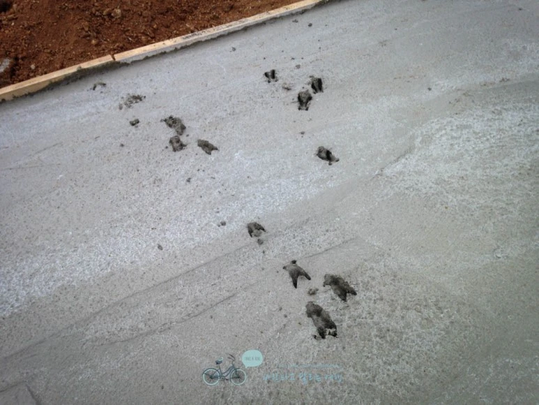 IMG_1880-_Wide1080mark.jpg?type=w773