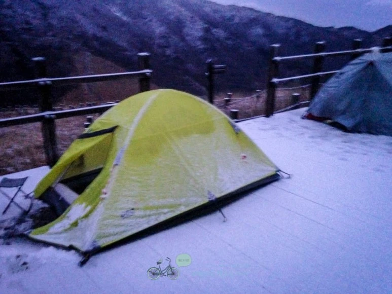 IMG_1952-_Wide1080mark.jpg?type=w773