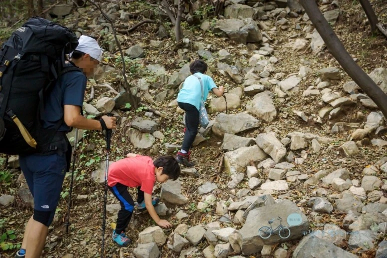 image_2737014871480217874717.jpg?type=w773