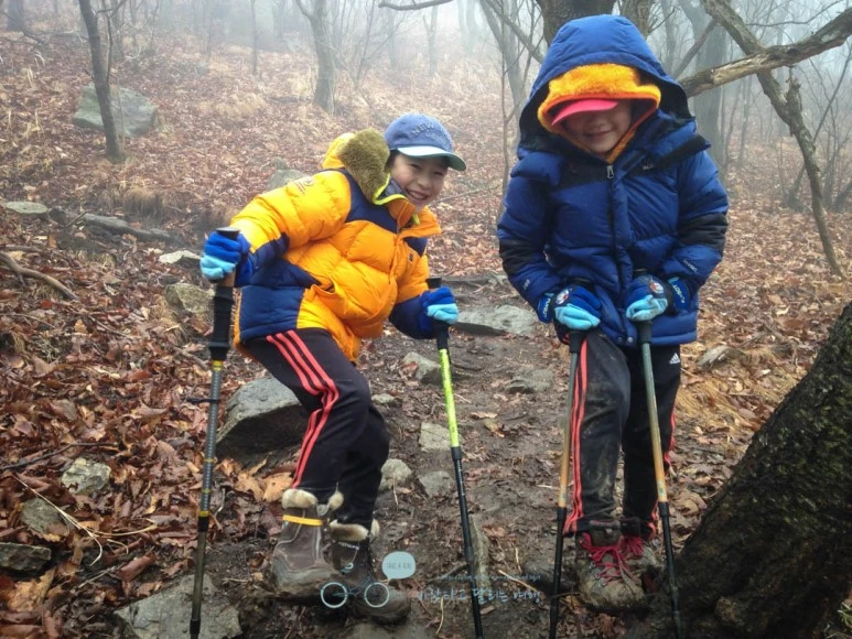 IMG_1481-_Wide1080mark.jpg?type=w773