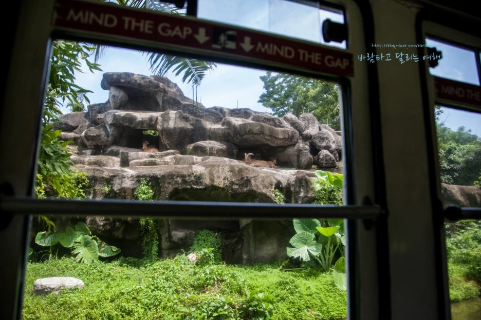 5D_IMG_2721_Short1200mark%EB%B0%94%EB%9E%8C.jpg?type=w1