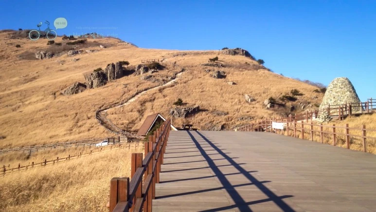 IMG_0195_wide1080mark.jpg?type=w773