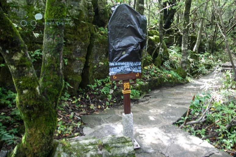 IMG_0211_Wide1080mark%EB%B0%94%EB%9E%8C.jpg?type=w773