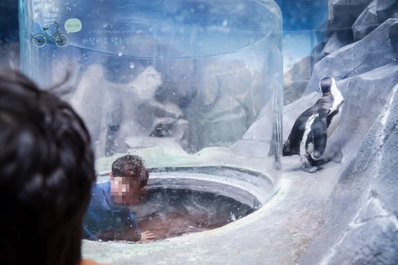 image_5341928721476782665667.jpg?type=w773