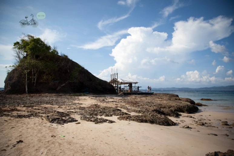 IMG_2295_Wide1080mark%EB%B0%94%EB%9E%8C%ED%83%80%EA%B3%A0.jpg?type=w773