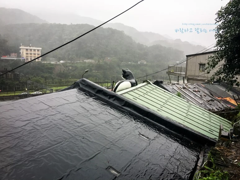 iPhone_IMG_3793_Short1200mark%EB%B0%94%EB%9E%8C.jpg?type=w773