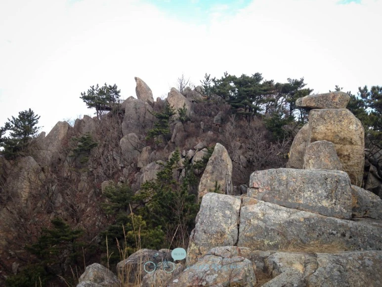 IMG_1279-_Wide1080mark%EB%B0%94%EB%9E%8C.jpg?type=w773