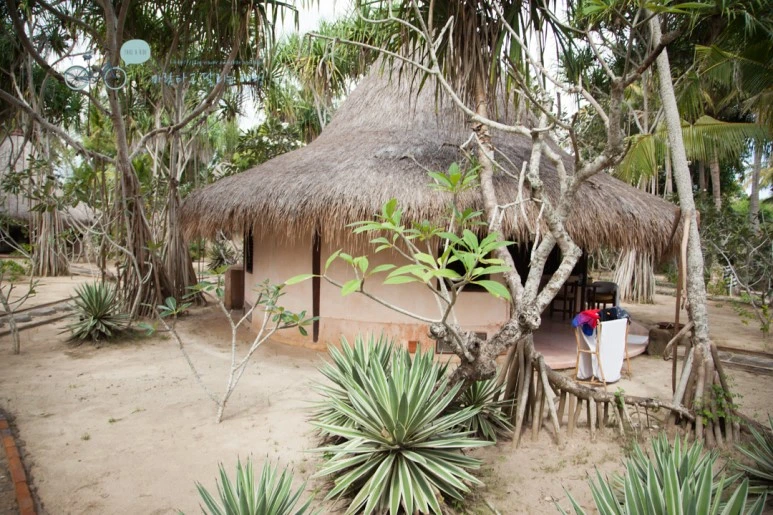 IMG_0132_Wide1080mark%EB%B0%94%EB%9E%8C%ED%83%80%EA%B3%A0-2.jpg?type=w773