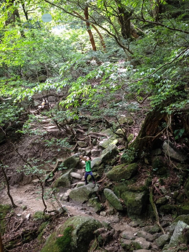 IMG_7995_wide1080mark.jpg?type=w773