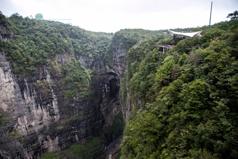 IMG_0444_Wide1080mark%EB%B0%94%EB%9E%8C.jpg?type=w773