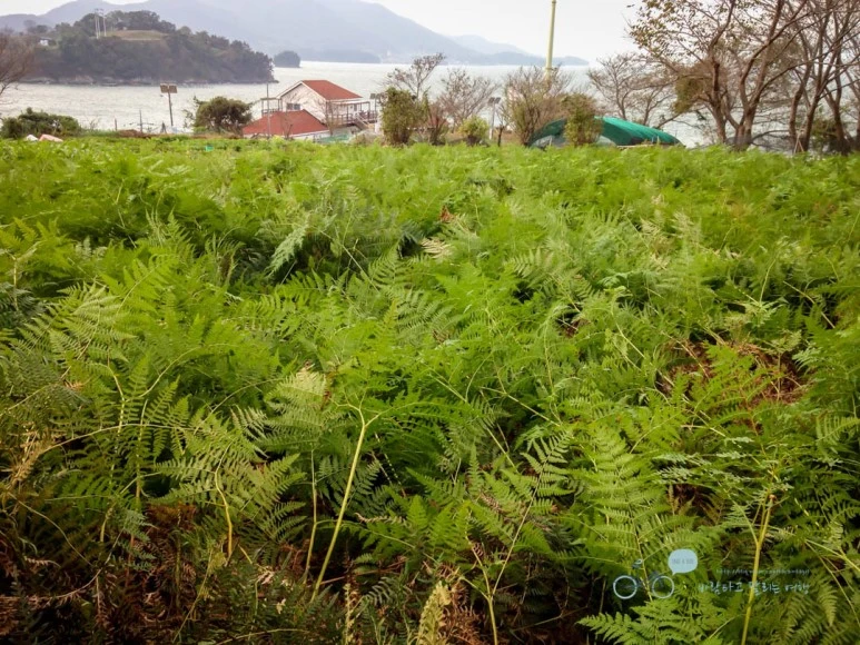 IMG_0966-_Wide1080mark%EB%B0%94%EB%9E%8C.jpg?type=w773