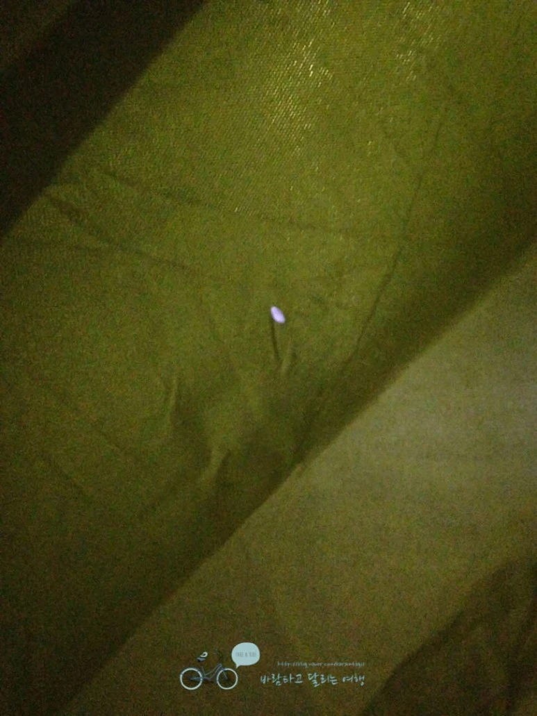 IMG_1256-_Wide1080mark%EB%B0%94%EB%9E%8C.jpg?type=w773