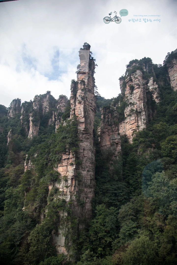 IMG_1150_Wide1080mark%EB%B0%94%EB%9E%8C.jpg?type=w773