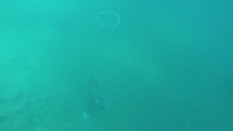 %EC%8A%A4%ED%81%AC%EB%A6%B0%EC%83%B7_2017-07-04_10.07.01.png?type=w773