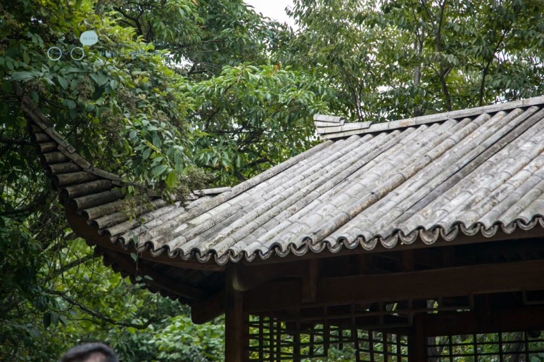 IMG_0244_Wide1080mark%EB%B0%94%EB%9E%8C.jpg?type=w773