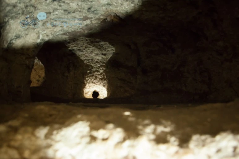 IMG_0138_Wide1080mark%EB%B0%94%EB%9E%8C%ED%83%80%EA%B3%A0.jpg?type=w773