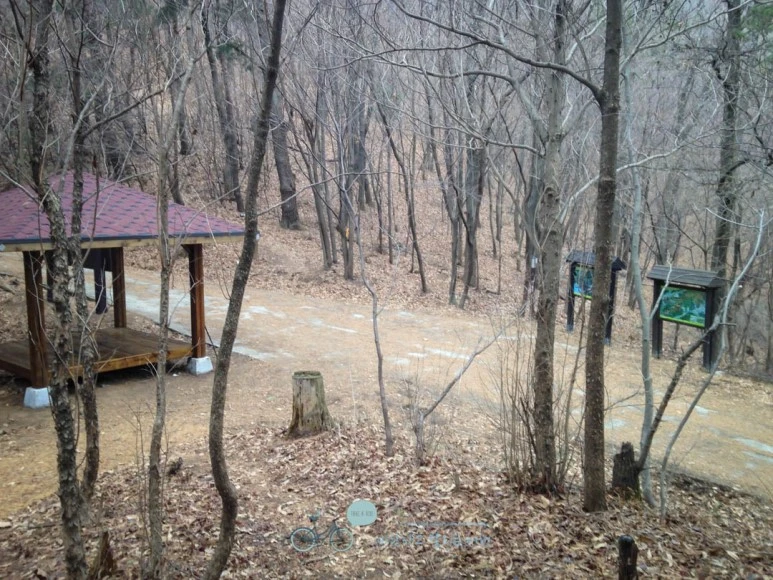 IMG_1445-_Wide1080mark.jpg?type=w773