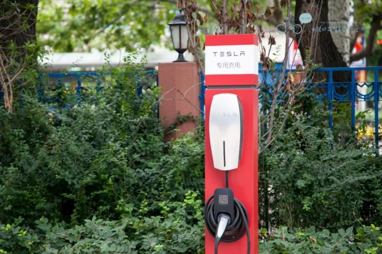 IMG_0503_Wide1080mark%EB%B0%94%EB%9E%8C.jpg?type=w773