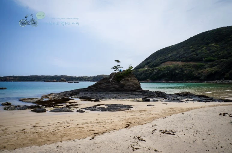 DSC08024_wide1080mark.jpg?type=w773