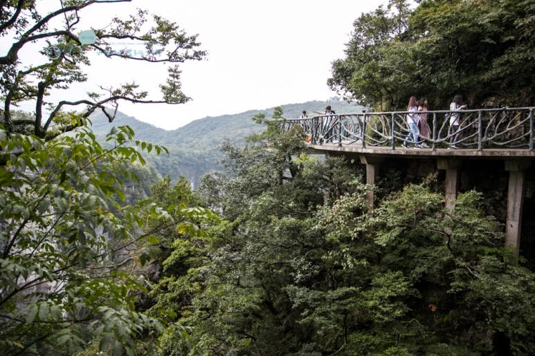 IMG_0206_Wide1080mark%EB%B0%94%EB%9E%8C.jpg?type=w773