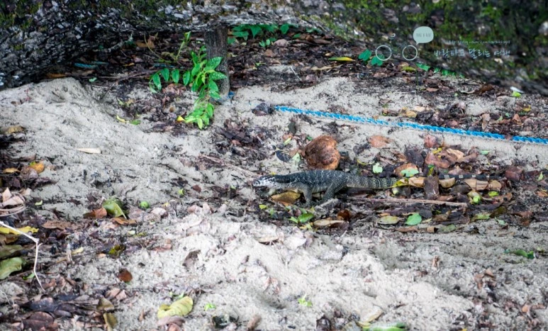 _1020826_Wide1080mark.jpg?type=w773