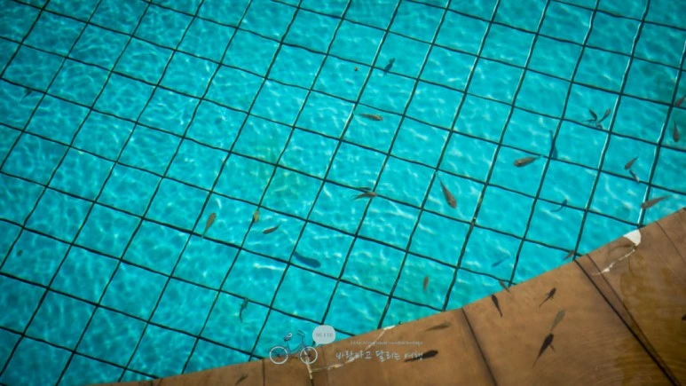 _1040311_Edit-_Wide1080mark%EB%B0%94%EB%9E%8C.jpg?type=w773