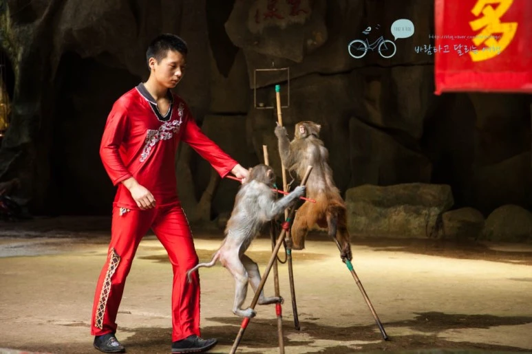 IMG_1395_wide1080%EB%B0%94%EB%9E%8Cmark.jpg?type=w773