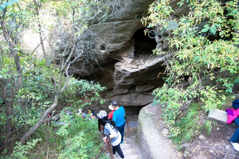 IMG_0229_Wide1080_mark%EB%B0%94%EB%9E%8C.jpg?type=w773