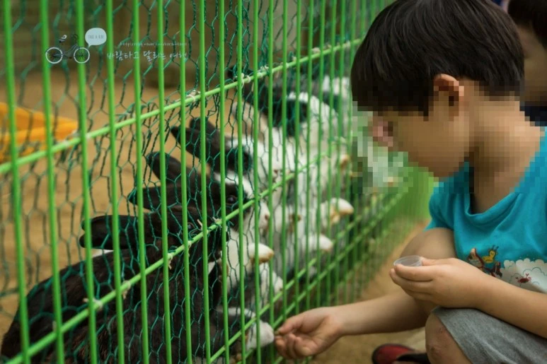 image_5007257661479110784048.jpg?type=w773